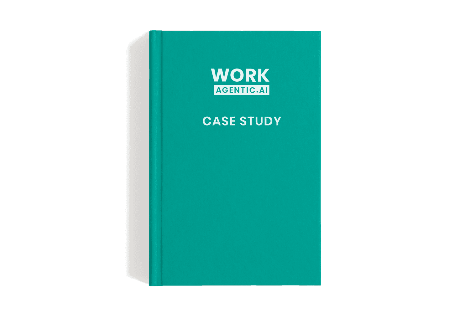 Work Agentic Case Study